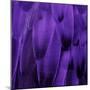 Feathered Friend - Purple-Julia Bosco-Mounted Art Print