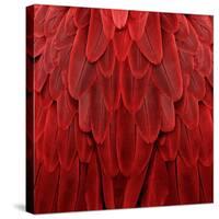 Feathered Friend - Red-Julia Bosco-Stretched Canvas