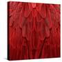 Feathered Friend - Red-Julia Bosco-Stretched Canvas