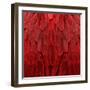 Feathered Friend - Red-Julia Bosco-Framed Art Print