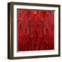 Feathered Friend - Red-Julia Bosco-Framed Art Print