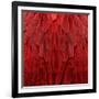 Feathered Friend - Red-Julia Bosco-Framed Art Print