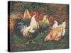 Feathered Friends-Vickie Wade-Stretched Canvas