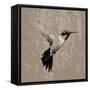 Feathered I-Anna Polanski-Framed Stretched Canvas