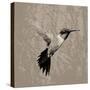 Feathered I-Anna Polanski-Stretched Canvas