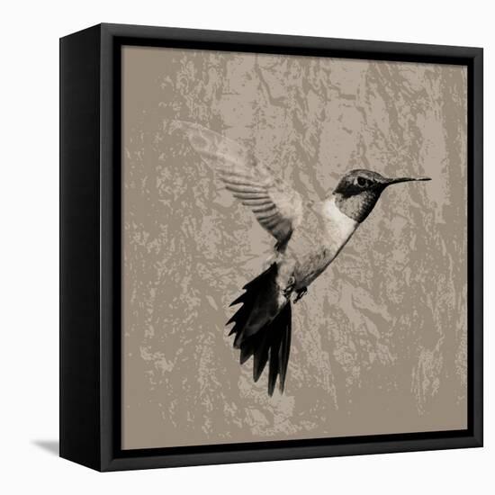 Feathered I-Anna Polanski-Framed Stretched Canvas