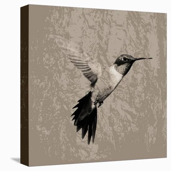 Feathered I-Anna Polanski-Stretched Canvas