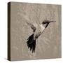 Feathered I-Anna Polanski-Stretched Canvas