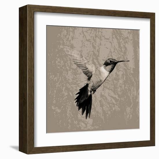 Feathered I-Anna Polanski-Framed Art Print