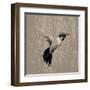 Feathered I-Anna Polanski-Framed Art Print