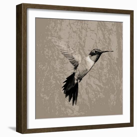 Feathered I-Anna Polanski-Framed Art Print