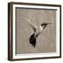 Feathered I-Anna Polanski-Framed Art Print