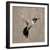 Feathered I-Anna Polanski-Framed Art Print