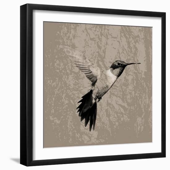 Feathered I-Anna Polanski-Framed Art Print