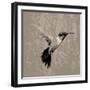 Feathered I-Anna Polanski-Framed Art Print