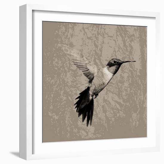 Feathered I-Anna Polanski-Framed Art Print