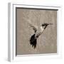 Feathered I-Anna Polanski-Framed Art Print