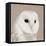 Feathered II-Anna Polanski-Framed Stretched Canvas