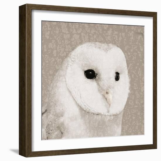 Feathered II-Anna Polanski-Framed Art Print