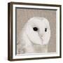 Feathered II-Anna Polanski-Framed Art Print