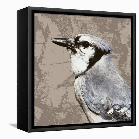 Feathered III-Anna Polanski-Framed Stretched Canvas