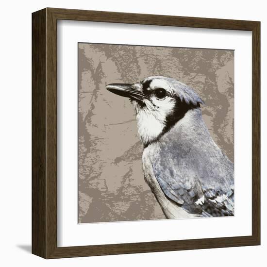 Feathered III-Anna Polanski-Framed Art Print