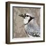 Feathered III-Anna Polanski-Framed Art Print