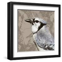 Feathered III-Anna Polanski-Framed Art Print