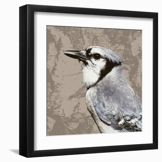 Feathered III-Anna Polanski-Framed Art Print