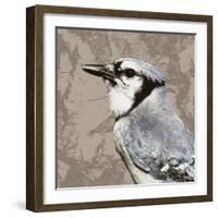 Feathered III-Anna Polanski-Framed Art Print