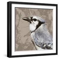 Feathered III-Anna Polanski-Framed Art Print