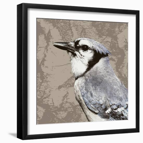 Feathered III-Anna Polanski-Framed Art Print