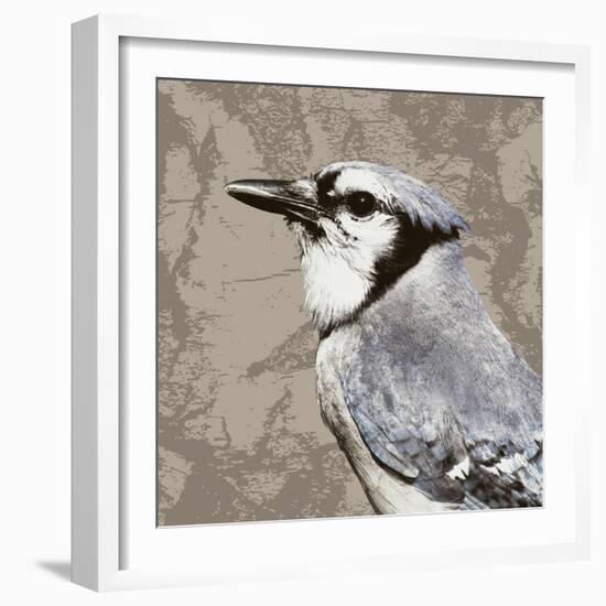 Feathered III-Anna Polanski-Framed Art Print