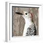 Feathered IV-Anna Polanski-Framed Art Print