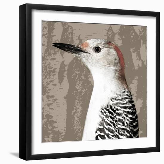 Feathered IV-Anna Polanski-Framed Art Print