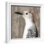 Feathered IV-Anna Polanski-Framed Art Print