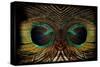 Feathered Owl-Jan Michael Ringlever-Stretched Canvas