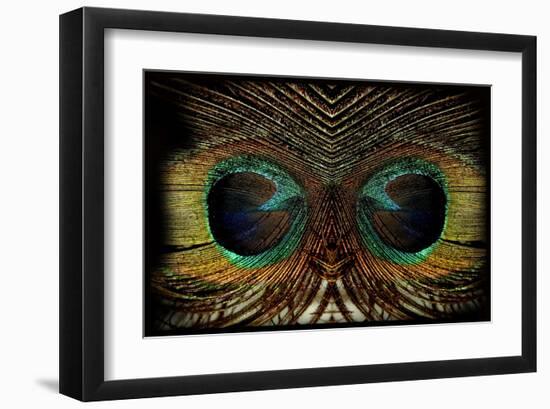 Feathered Owl-Jan Michael Ringlever-Framed Art Print