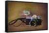 Feathered Photographer-Jai Johnson-Framed Stretched Canvas