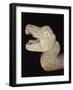 Feathered Snake Head in Stone, from Chichen Itza, Mexico-null-Framed Giclee Print