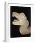 Feathered Snake Head in Stone, from Chichen Itza, Mexico-null-Framed Giclee Print