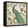 Feathered Splendor I-Kate McRostie-Framed Stretched Canvas