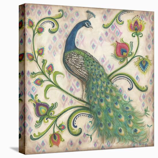 Feathered Splendor I-Kate McRostie-Stretched Canvas