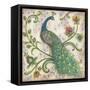 Feathered Splendor I-Kate McRostie-Framed Stretched Canvas