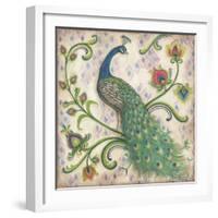 Feathered Splendor I-Kate McRostie-Framed Art Print