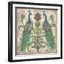Feathered Splendor II-Kate McRostie-Framed Art Print