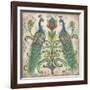 Feathered Splendor II-Kate McRostie-Framed Art Print