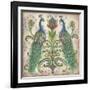 Feathered Splendor II-Kate McRostie-Framed Art Print