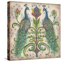 Feathered Splendor II-Kate McRostie-Stretched Canvas