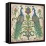 Feathered Splendor II-Kate McRostie-Framed Stretched Canvas